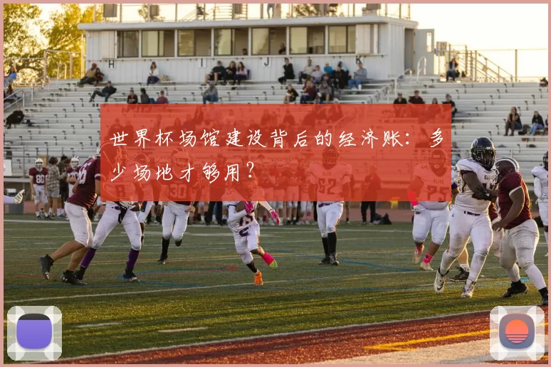世界杯场馆建设背后的经济账：多少场地才够用？