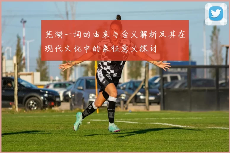 芜湖一词的由来与含义解析及其在现代文化中的象征意义探讨