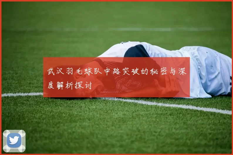 武汉羽毛球队中路突破的秘密与深度解析探讨