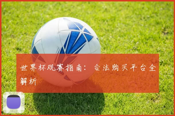 世界杯观赛指南:合法购买平台全解析