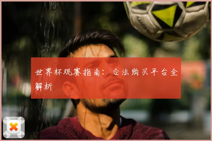 世界杯观赛指南:合法购买平台全解析