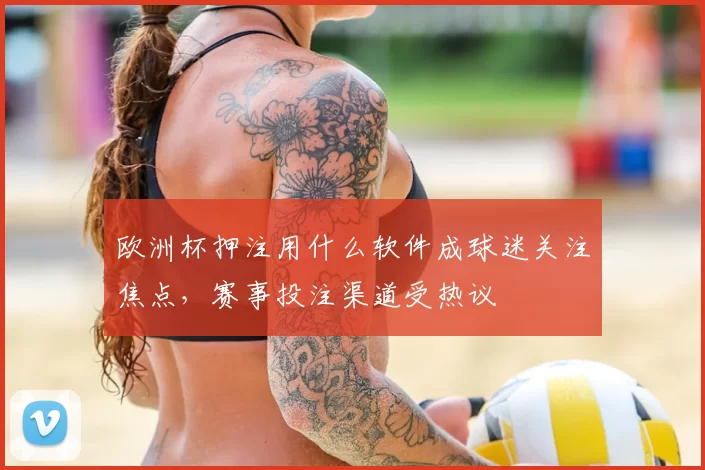 欧洲杯押注用什么软件成球迷关注焦点,赛事投注渠道受热议