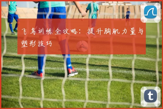 飞鸟训练全攻略：提升胸肌力量与塑形技巧