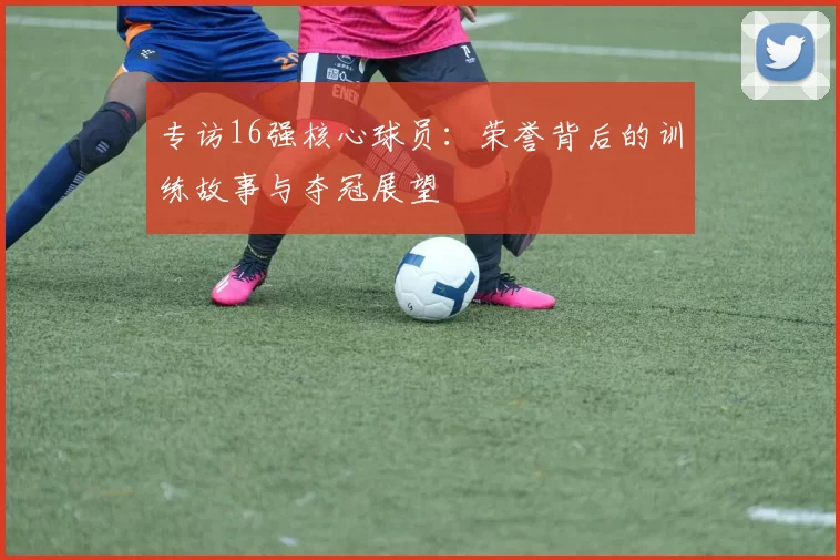 专访16强核心球员:荣誉背后的训练故事与夺冠展望