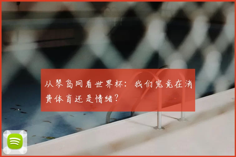 从琴岛网看世界杯：我们究竟在消费体育还是情绪？