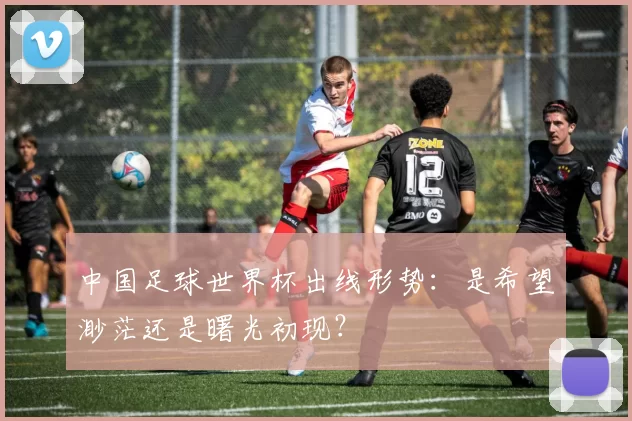 中国足球世界杯出线形势：是希望渺茫还是曙光初现？