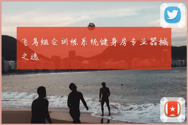 飞鸟组合训练系统健身房专业器械之选