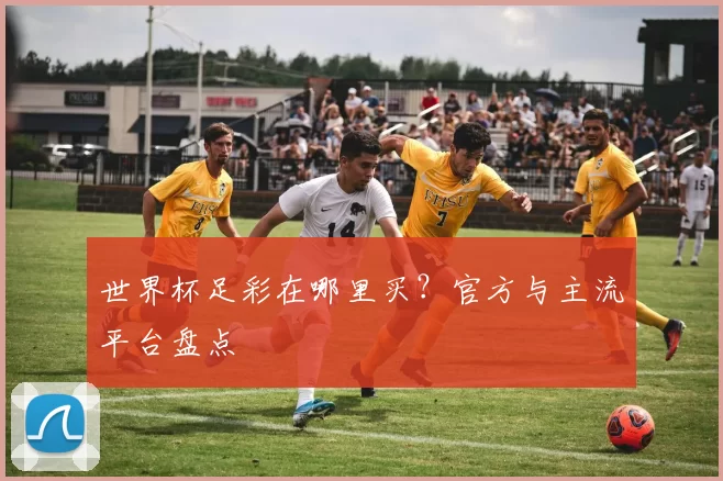 世界杯足彩在哪里买？官方与主流平台盘点