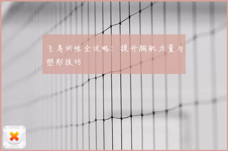 飞鸟训练全攻略：提升胸肌力量与塑形技巧